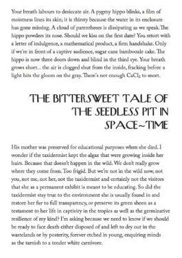 Kenneth Constance Loe