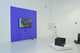 Kenneth Constance Loe