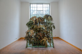 Kenneth Constance Loe