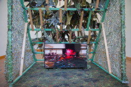 Kenneth Constance Loe