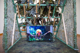 Kenneth Constance Loe