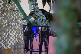 Kenneth Constance Loe