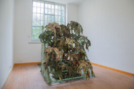 Kenneth Constance Loe