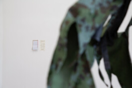 Kenneth Constance Loe