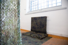 Kenneth Constance Loe