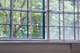 Kenneth Constance Loe