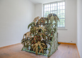 Kenneth Constance Loe