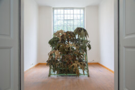 Kenneth Constance Loe