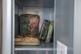 Kenneth Constance Loe