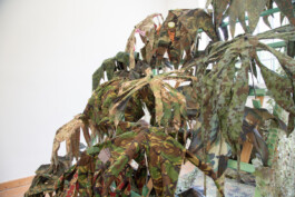 Kenneth Constance Loe